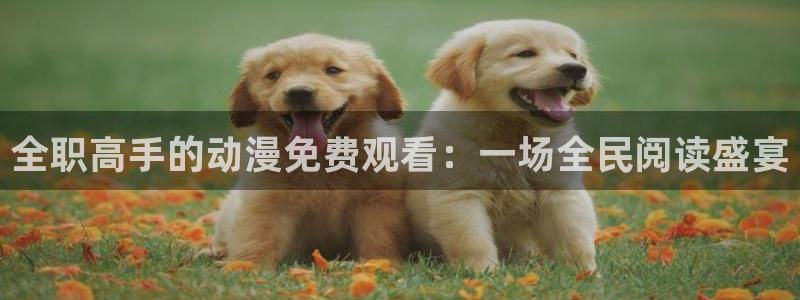 最新韩漫漫画：全职高手的动漫免费观看：一场全民阅读盛宴配图