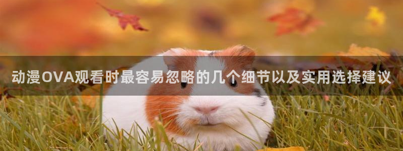 韩漫动作漫画:动漫OVA观看时最容易忽略的几个细节以及实用选择建议配图