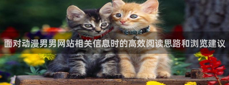 韩漫漫画连载更新:面对动漫男男网站相关信息时的高效阅读思路和浏览建议配图