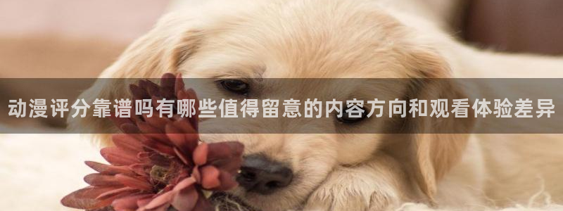 韩漫中文漫画网站:动漫评分靠谱吗有哪些值得留意的内容方向和观看体验差异配图
